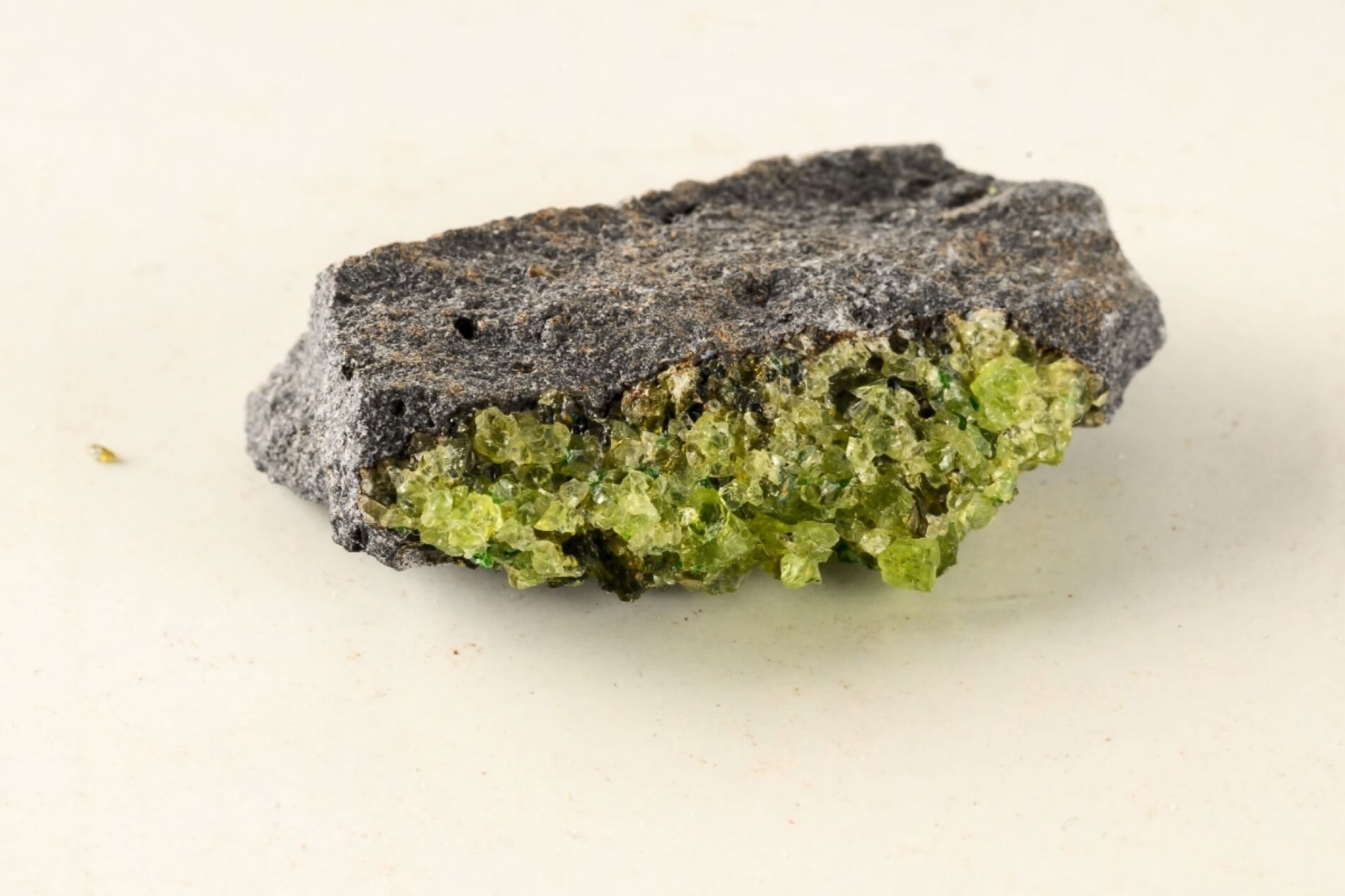 A raw peridot mineral specimen featuring a dark gray to black textured matrix with a prominent bright green crystalline mineral growth, photographed on a plain off-white background.
