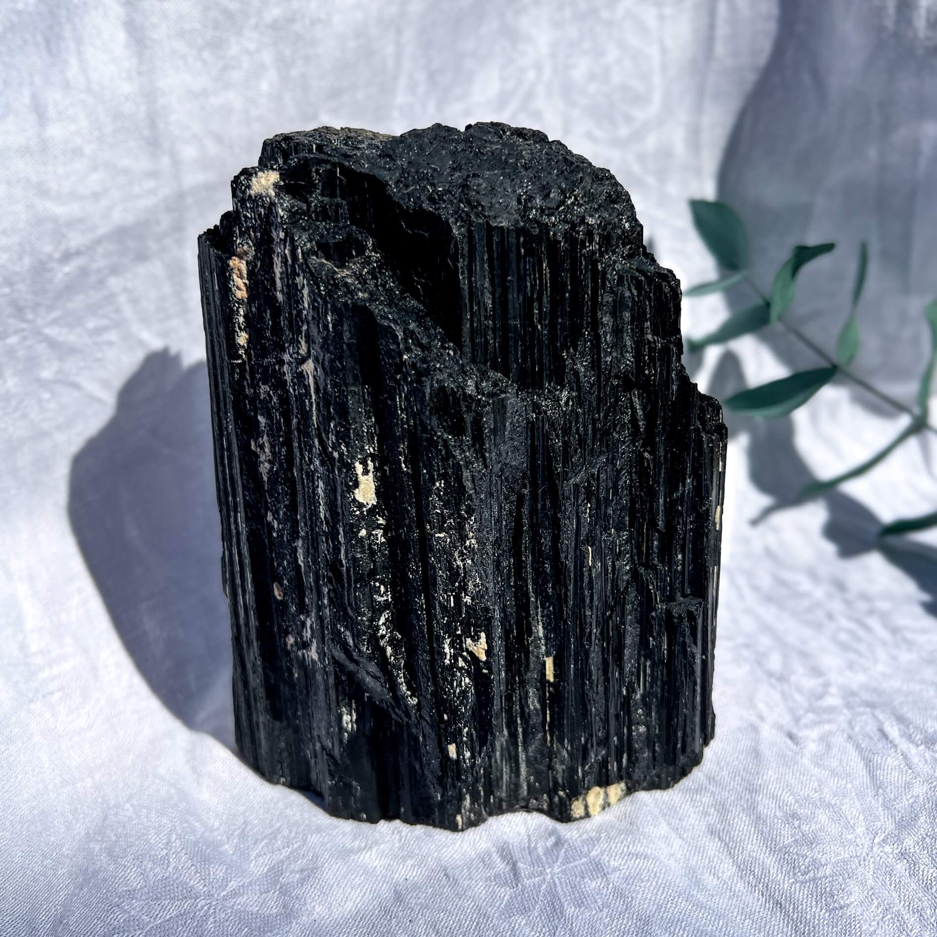 Black Tourmaline XXL Raw Freeform