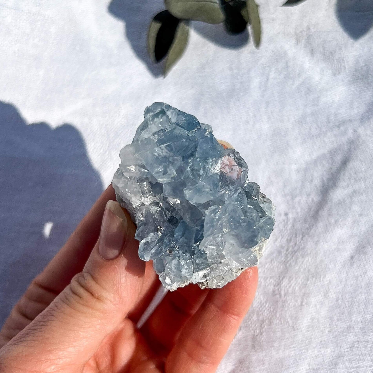 Celestite Cluster - Small