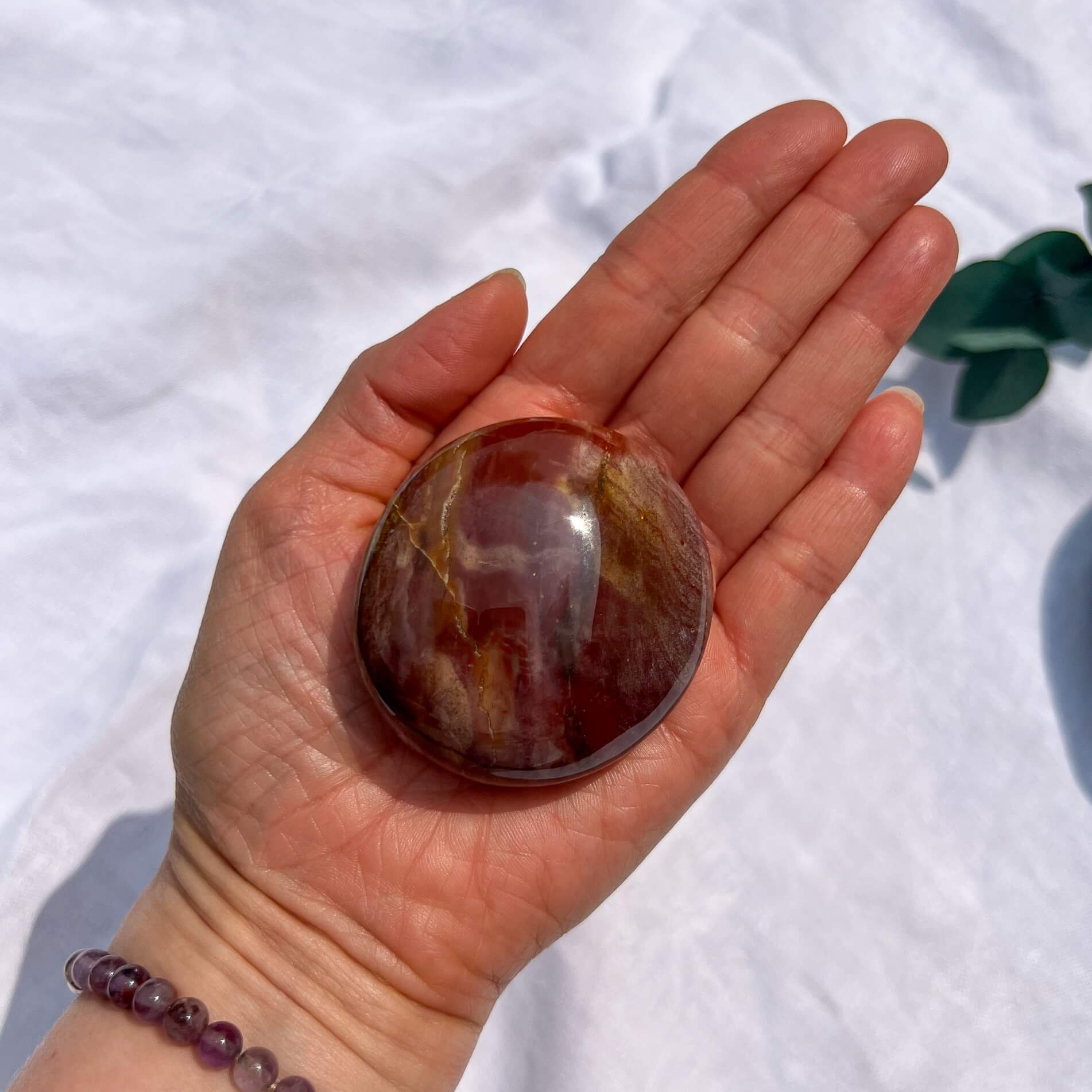 Crystal Palmstone - Fossil Wood C