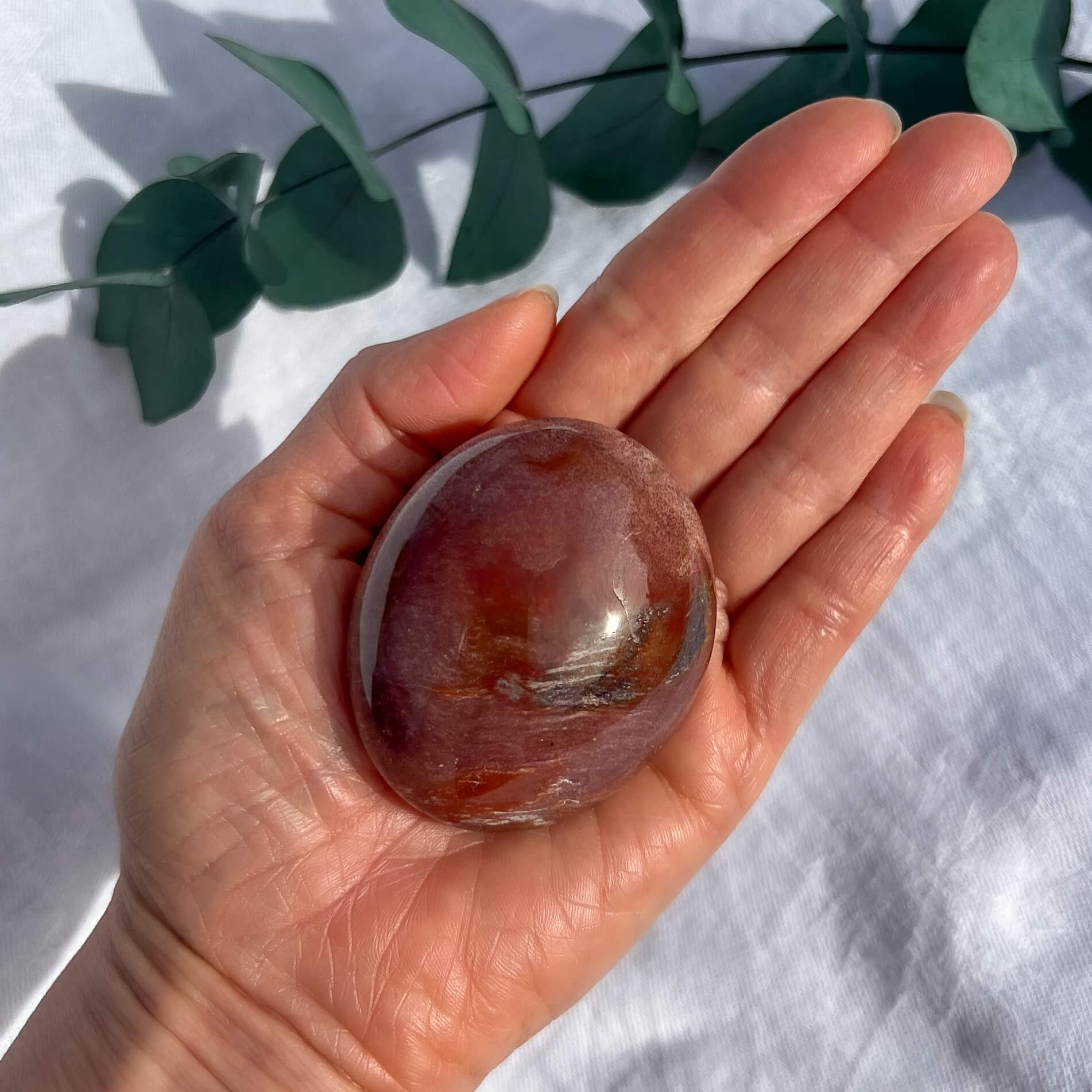 Crystal Palmstone - Fossil Wood G