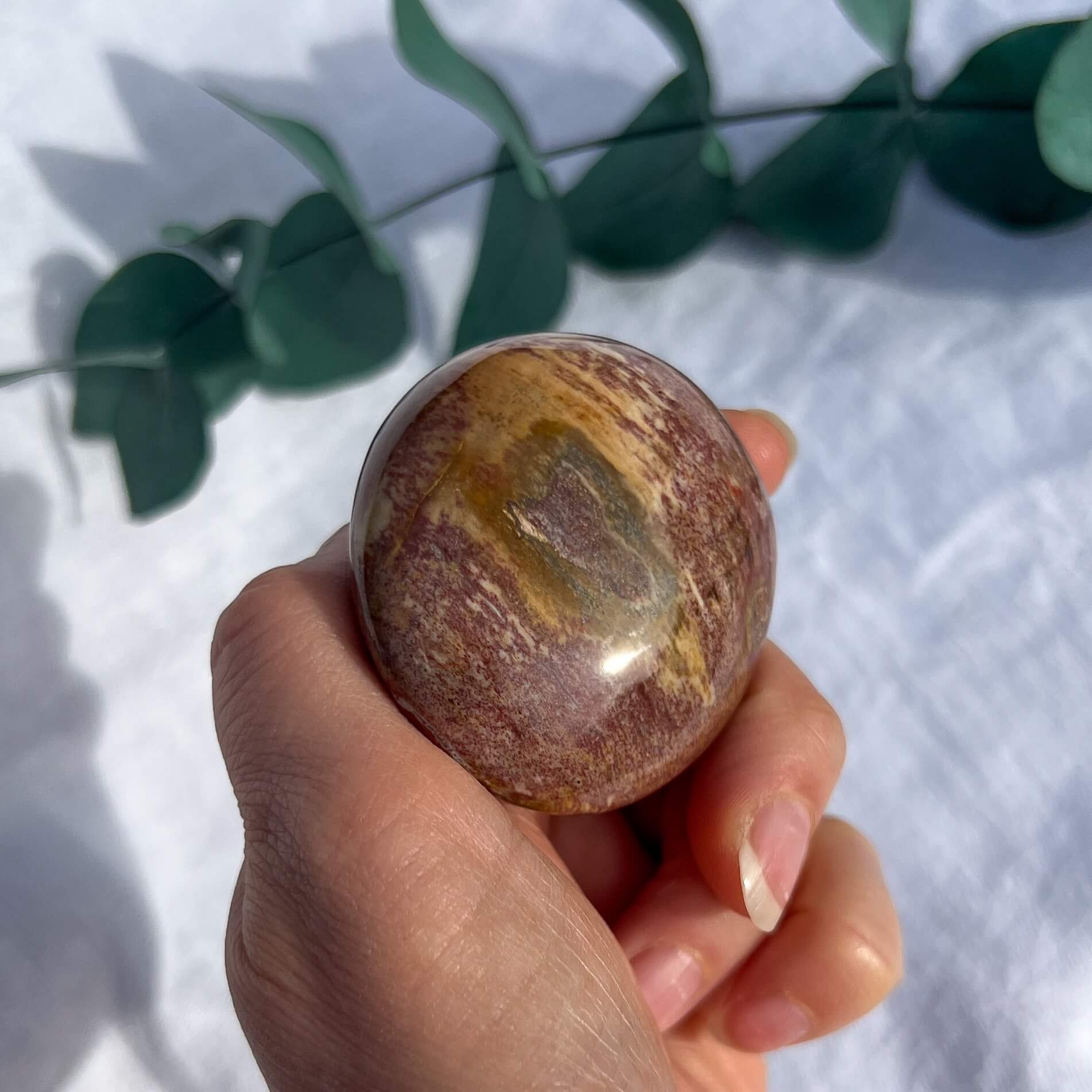 Crystal Palmstone - Fossil Wood G