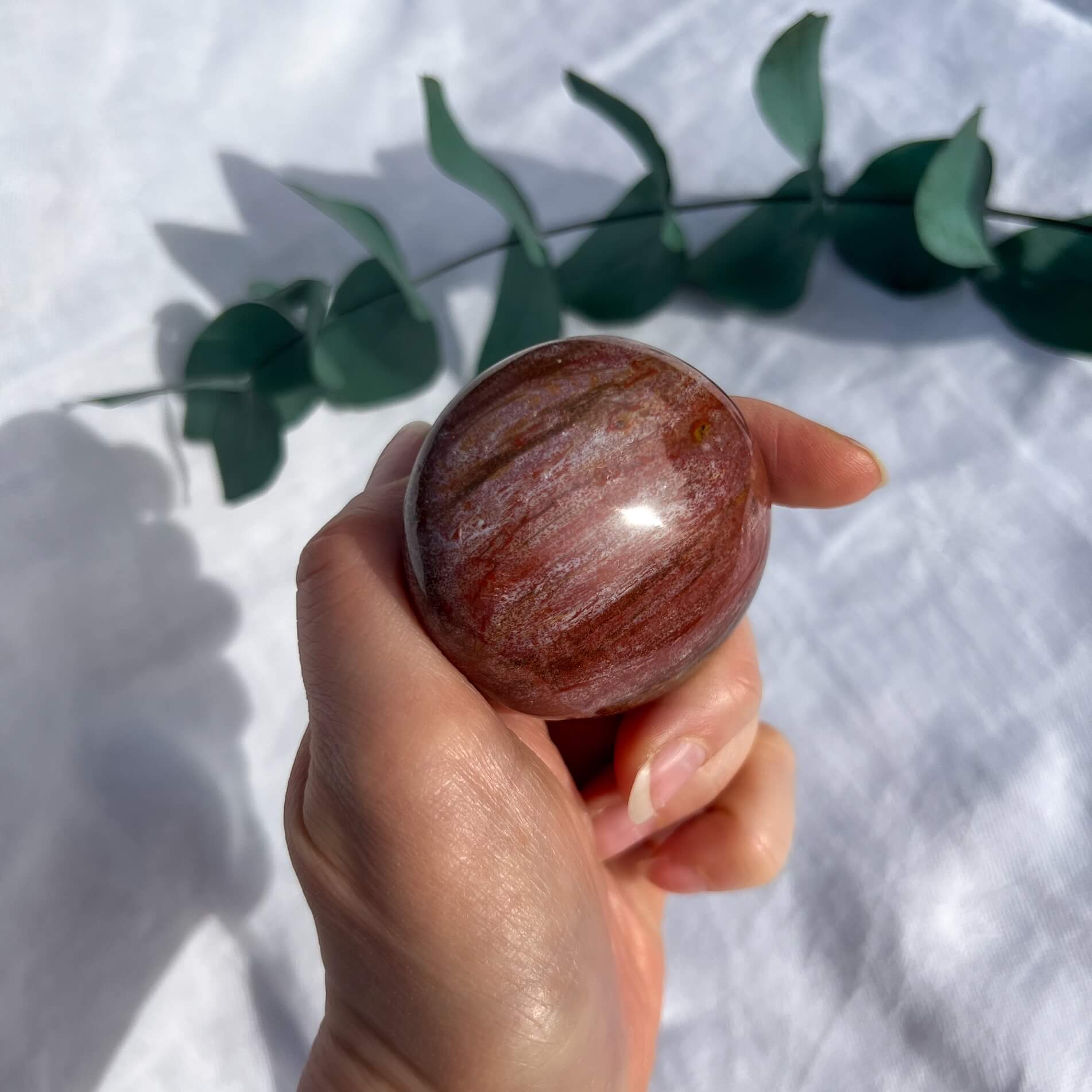 Crystal Palmstone - Fossil Wood H