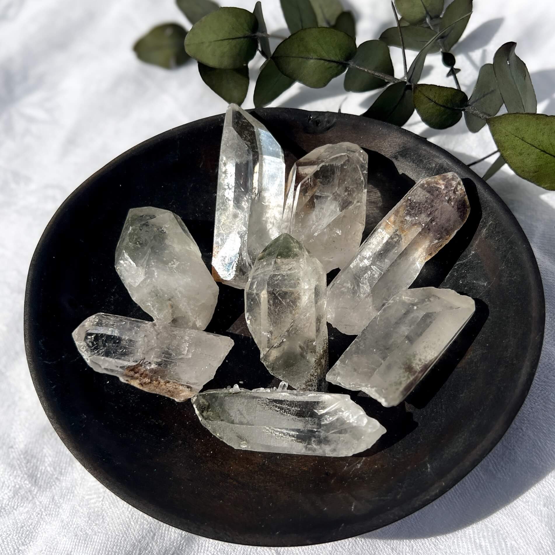 Garden Quartz crystal points on a dark stone surface with green leaves in the background
