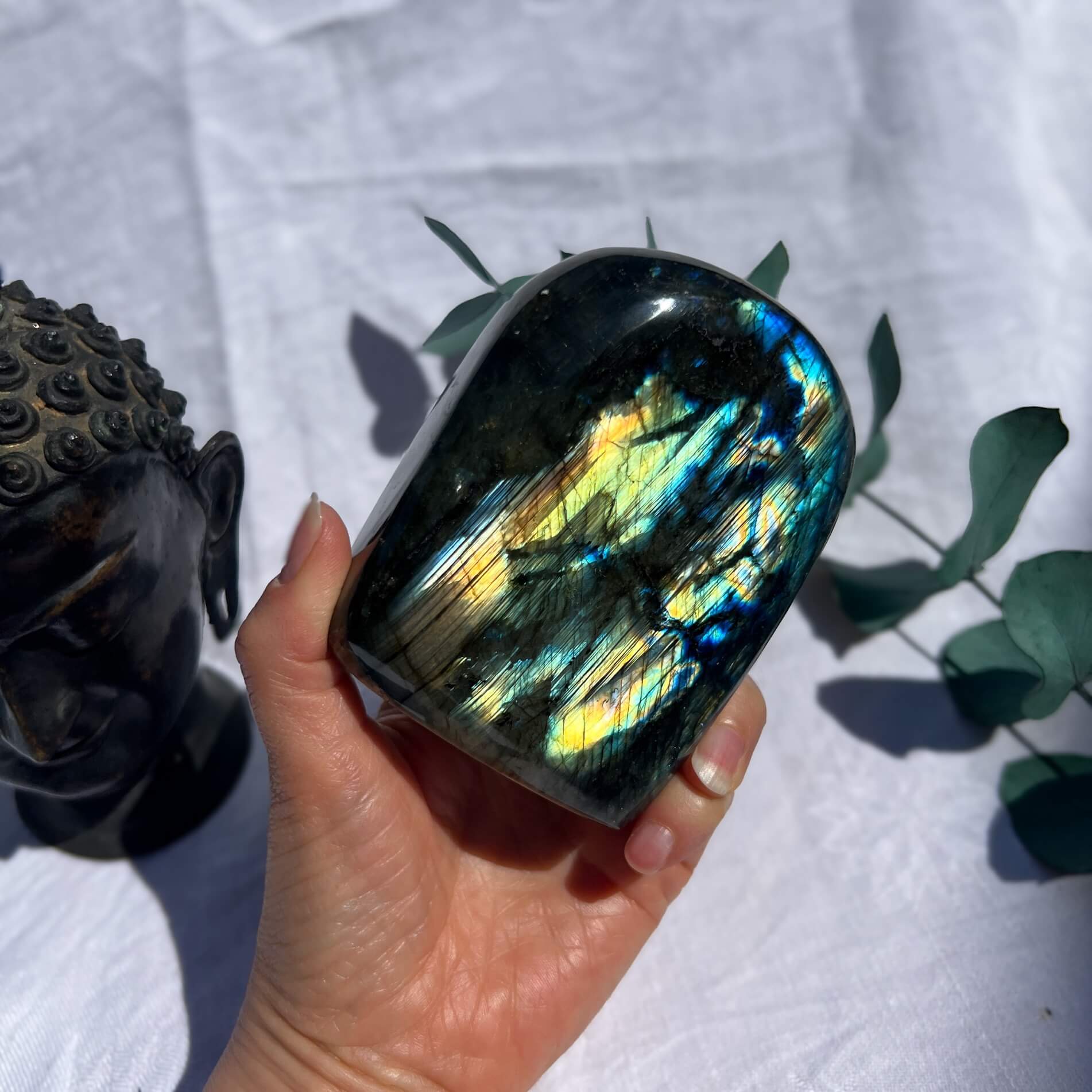 Labradorite Standing Freeform