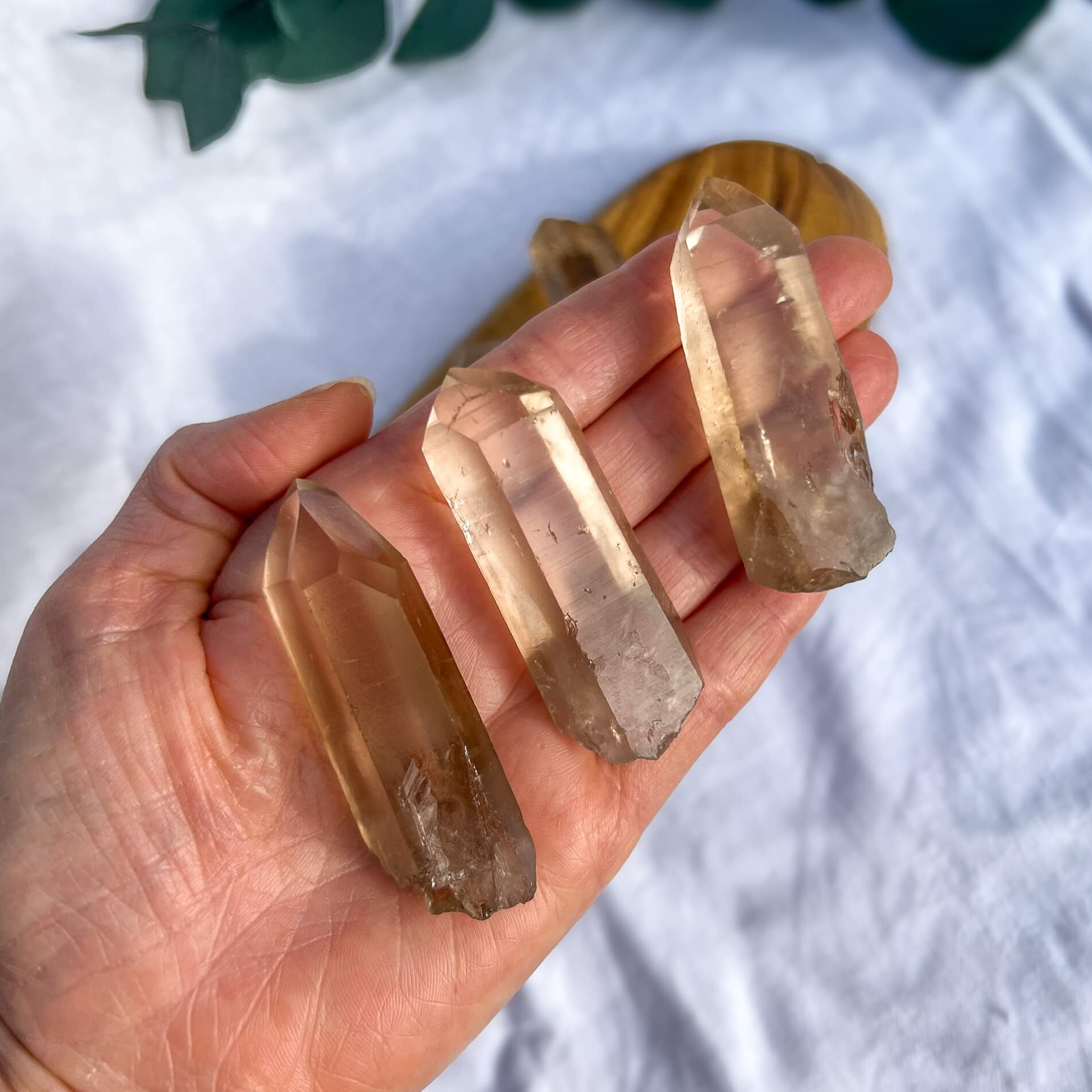 Natural Citrine Crystal Points
