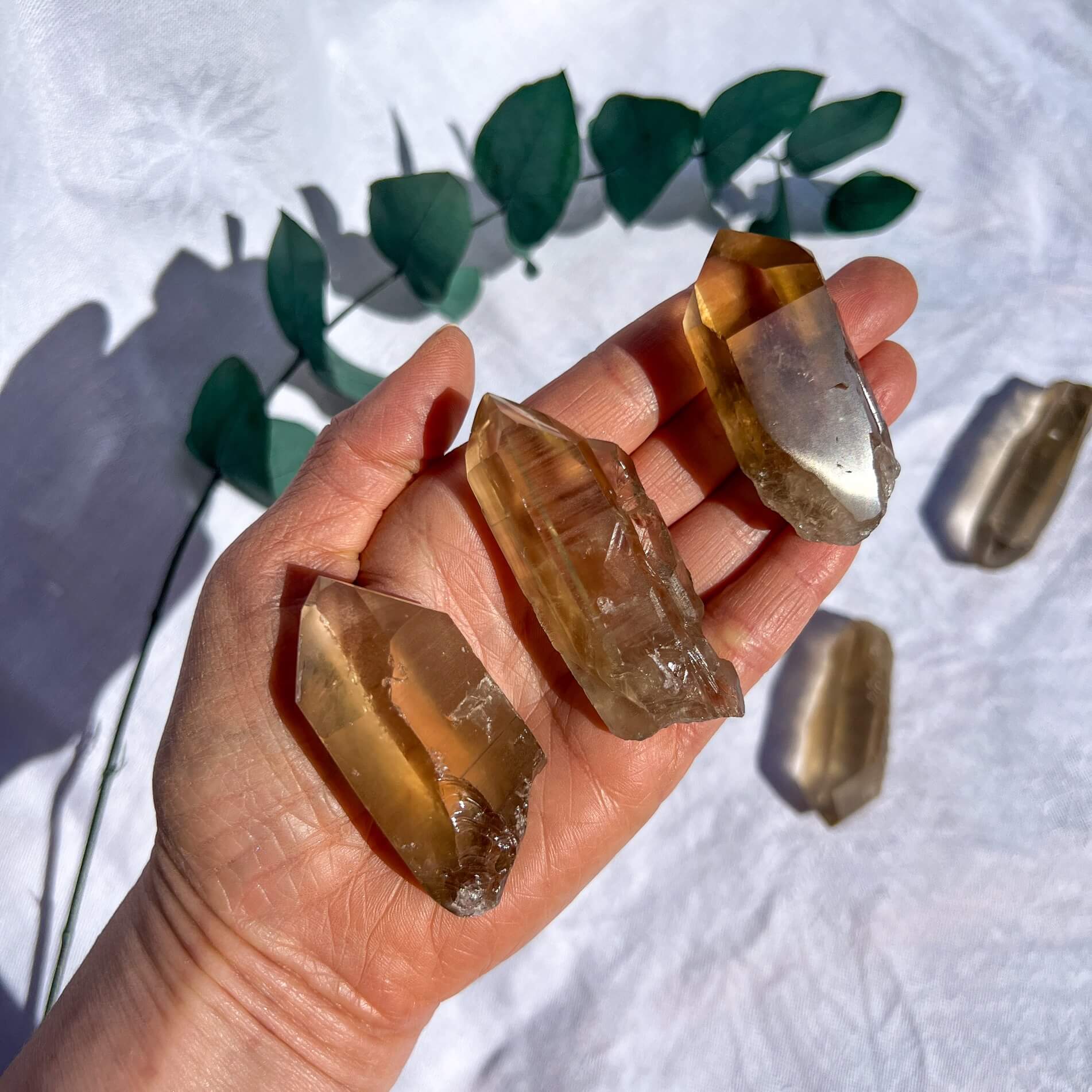 Natural Citrine Crystal Points