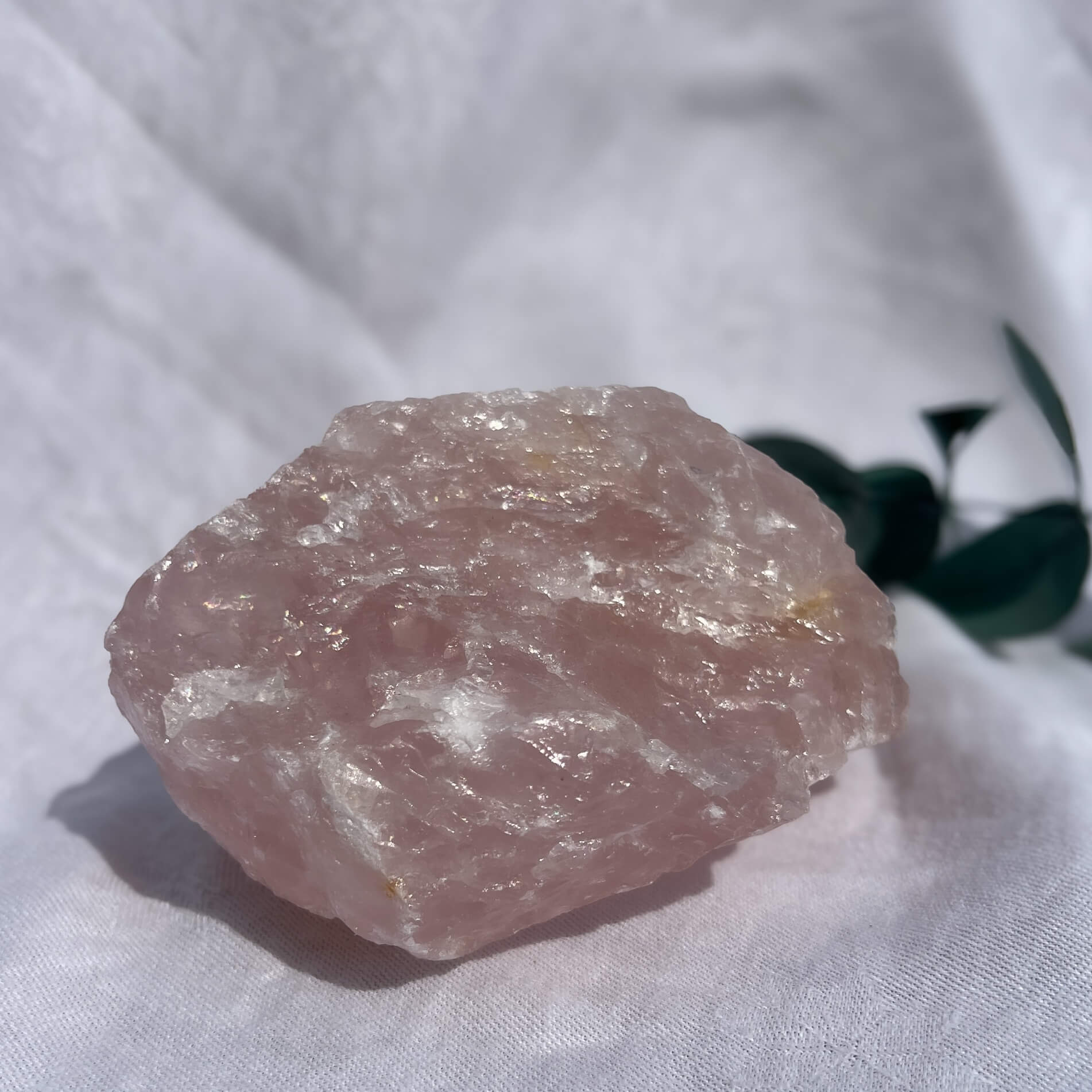Rose Quartz Raw Display Crystal