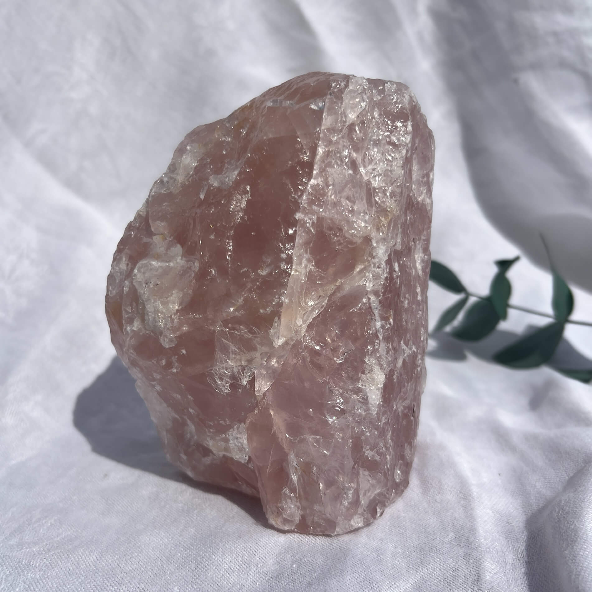 Rose Quartz Raw Display Crystal