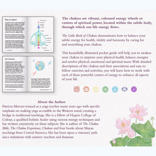 the little book of chakras inside page examples