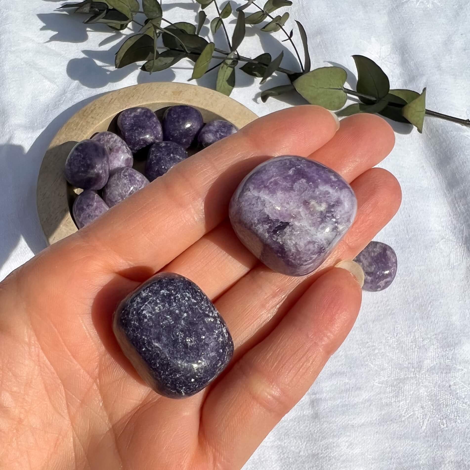 Purple and white mottle and sparkly lepidolite crystal pebbles in an outstretched hand
