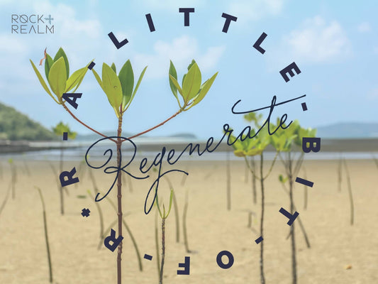 Blog Logo with the word Regenerate over a backdrop of mangrove saplings against a blue sky and sandy shoreline