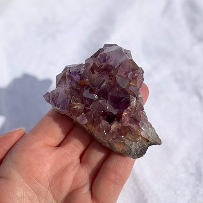 Amethyst Cluster - Medium