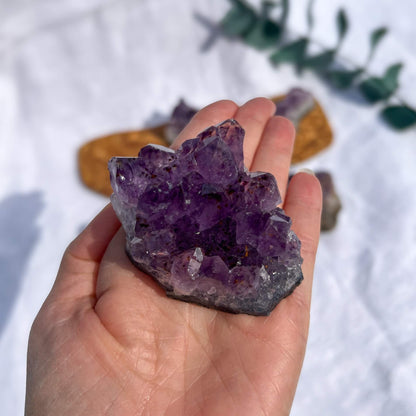 Amethyst Cluster - Medium