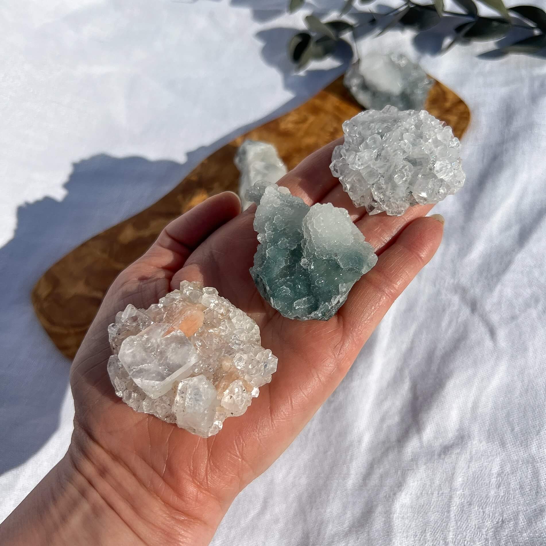 Apophyllite Clusters - Mini