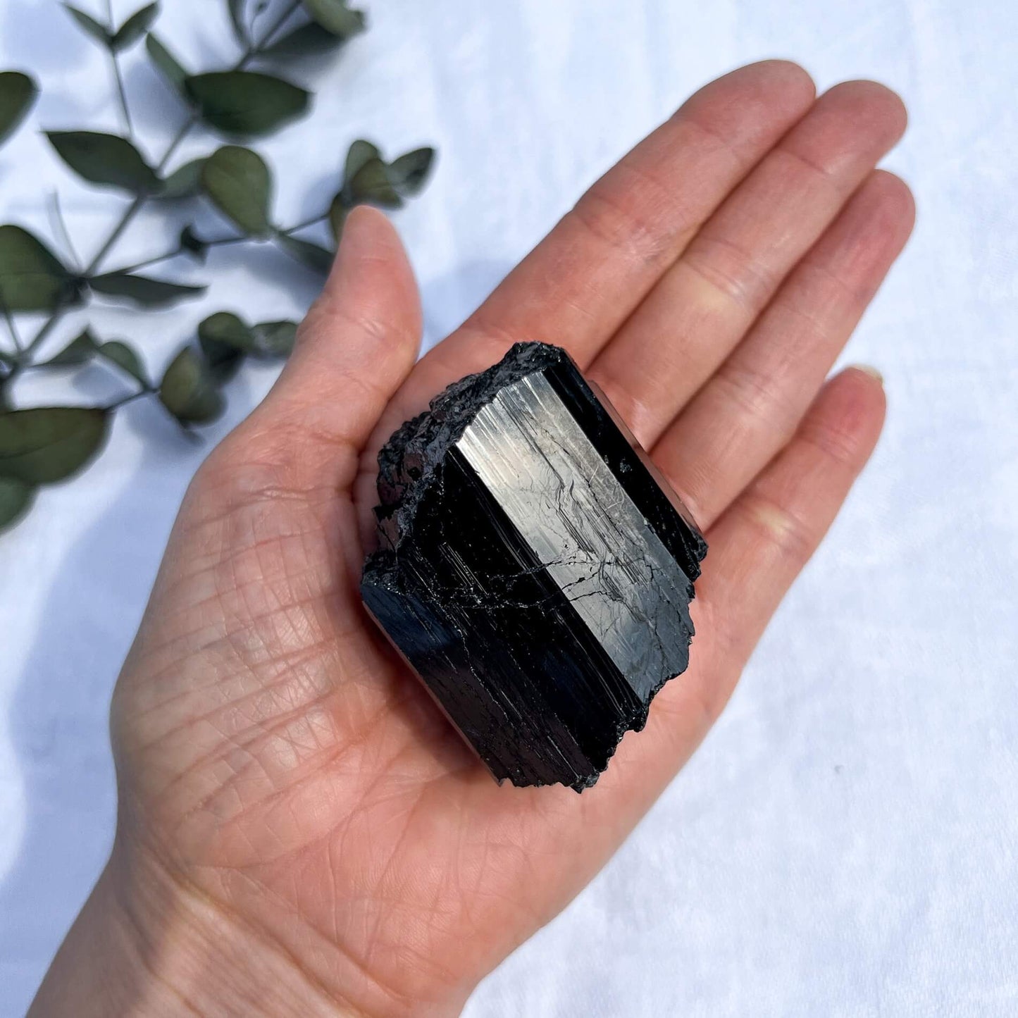 Black Tourmaline Crystal - Extra Grade