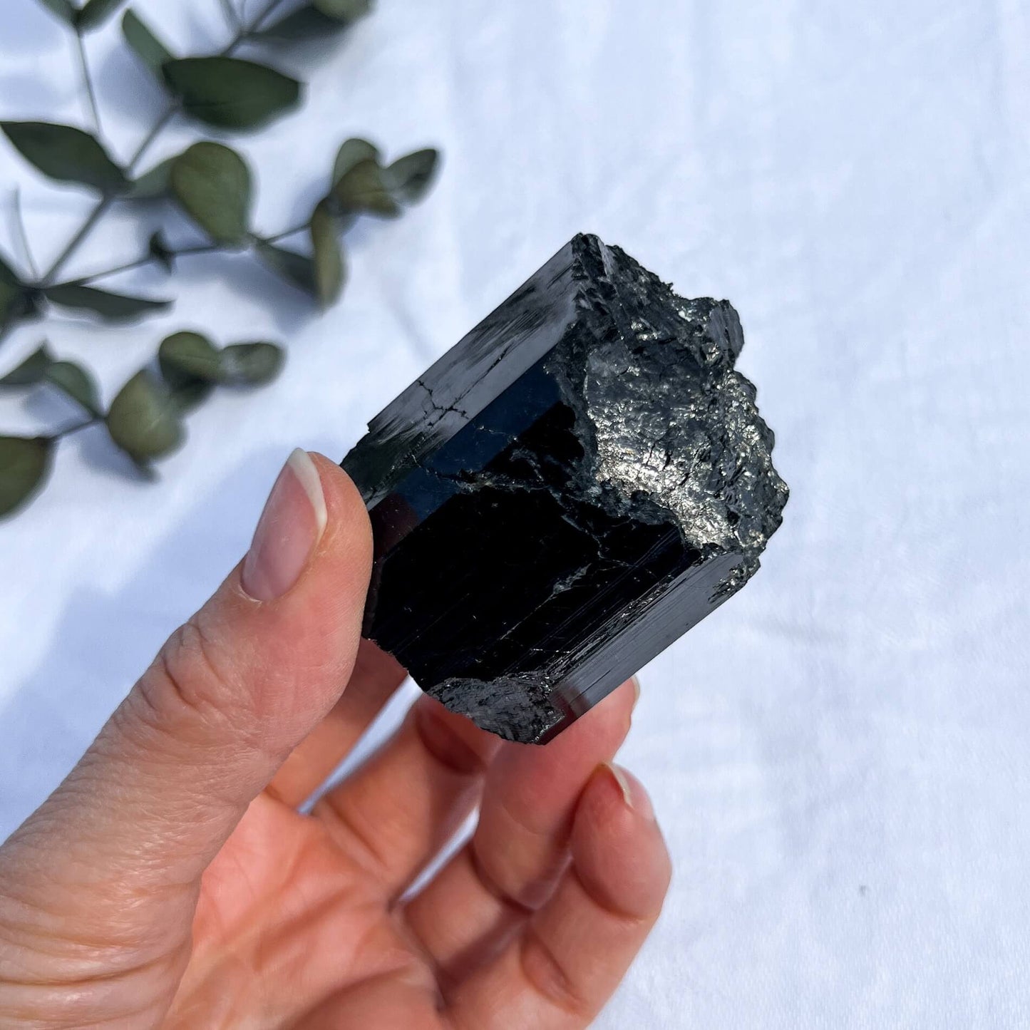 Black Tourmaline Crystal - Extra Grade