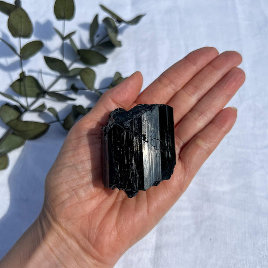 Black Tourmaline Crystal - Extra Grade