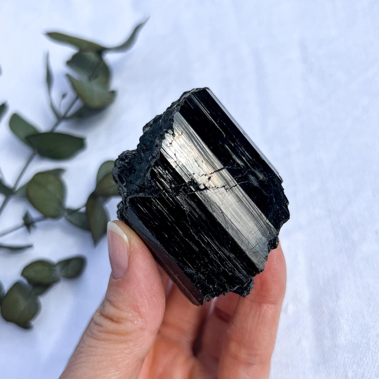 Black Tourmaline Crystal - Extra Grade