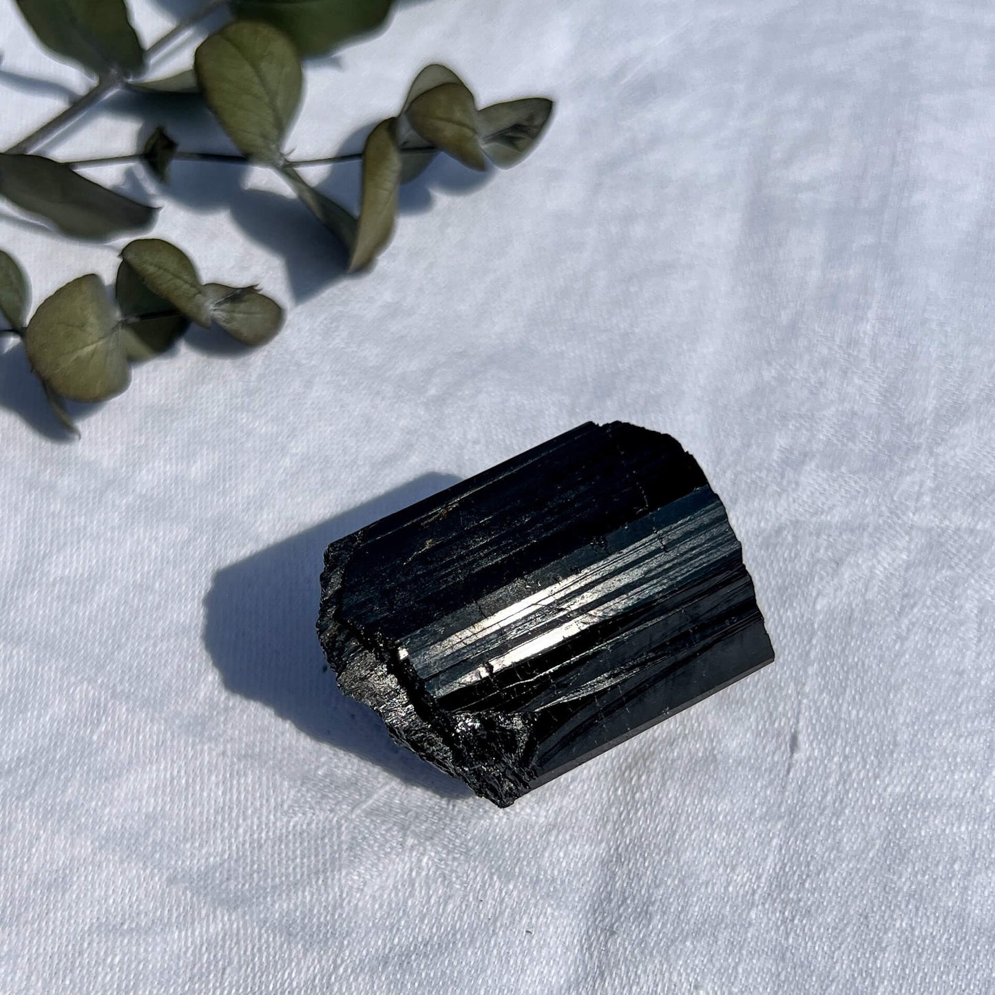 Black Tourmaline Crystal - Extra Grade