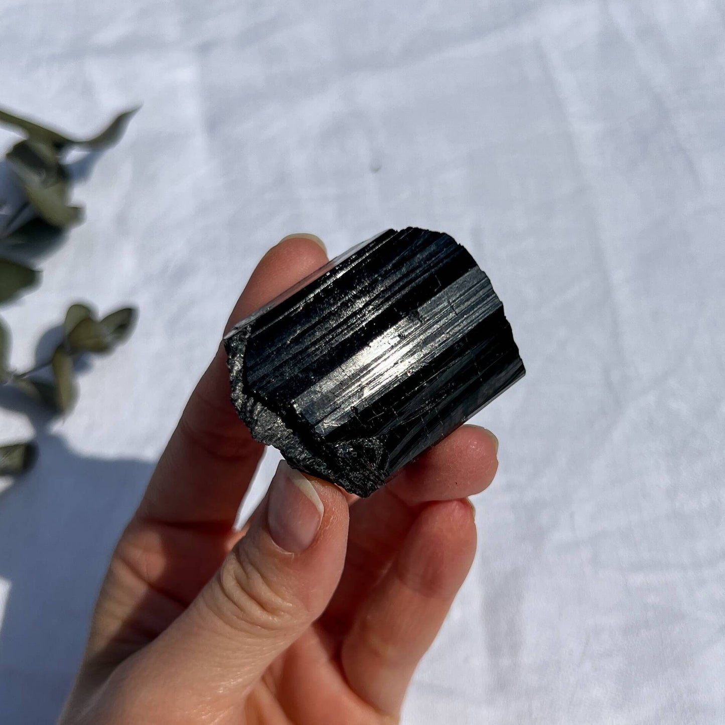 Black Tourmaline Crystal - Extra Grade