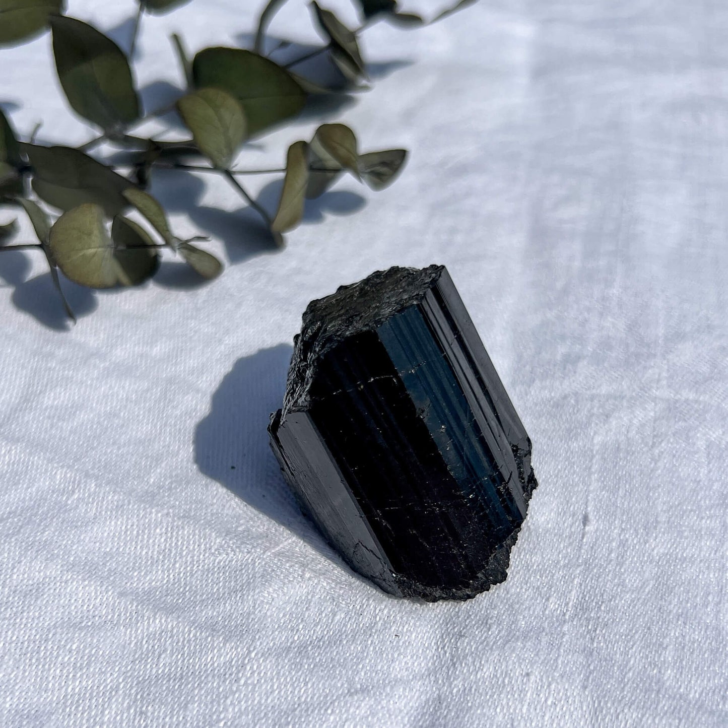 Black Tourmaline Crystal - Extra Grade