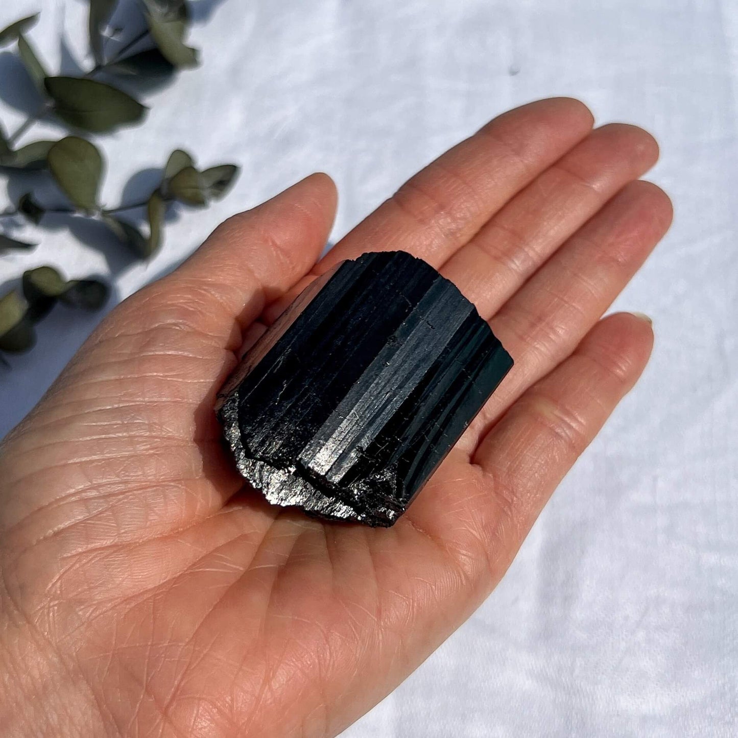 Black Tourmaline Crystal - Extra Grade