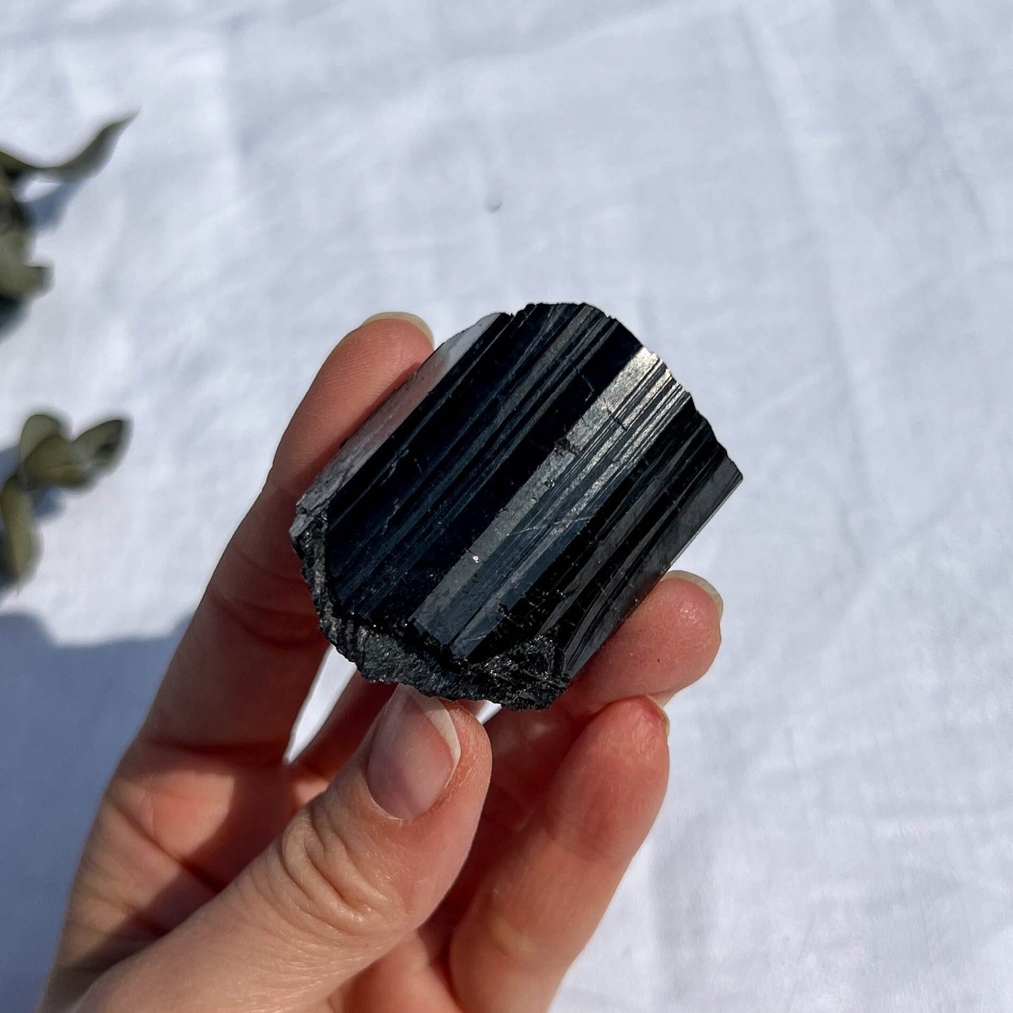 Black Tourmaline Crystal - Extra Grade