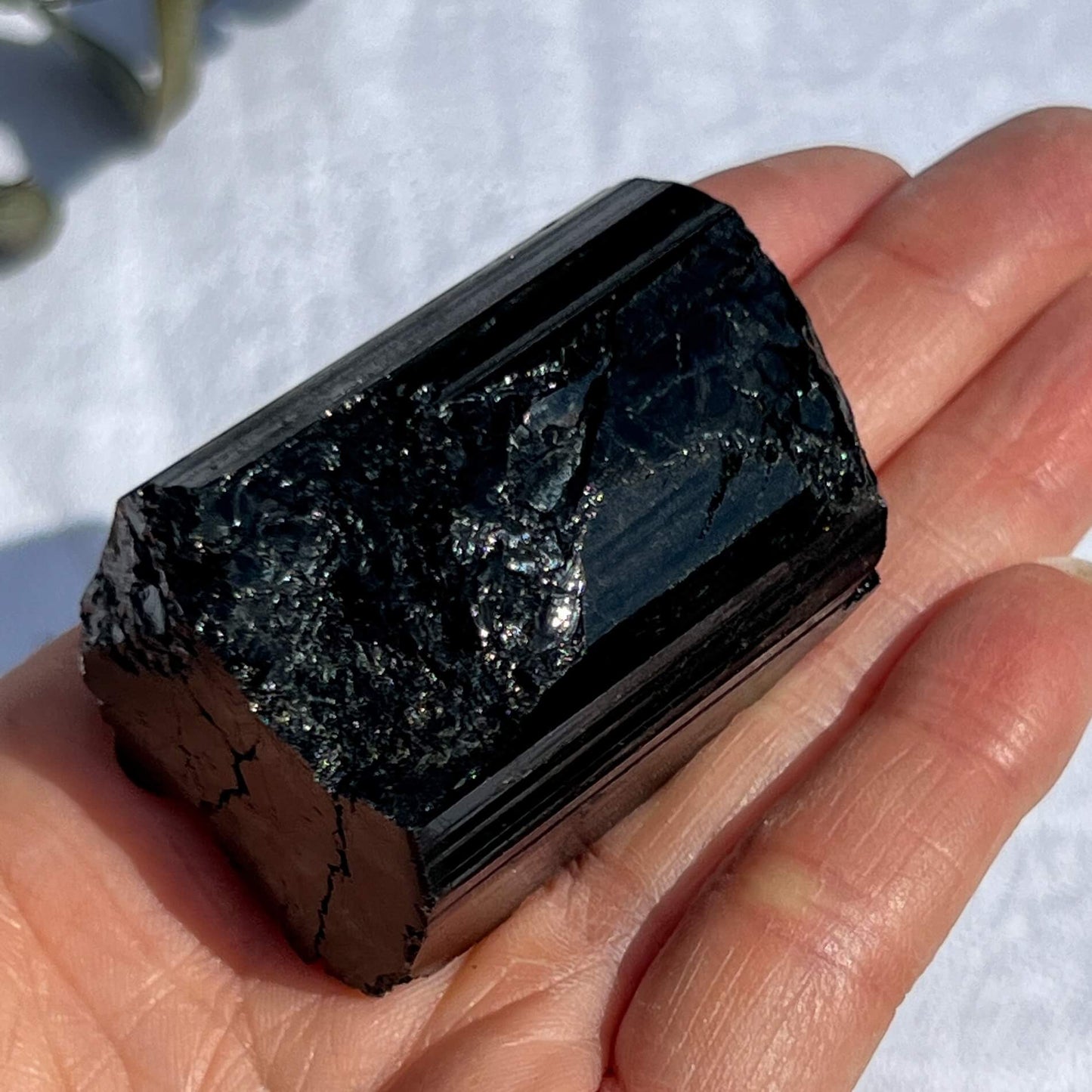 Black Tourmaline Crystal - Extra Grade