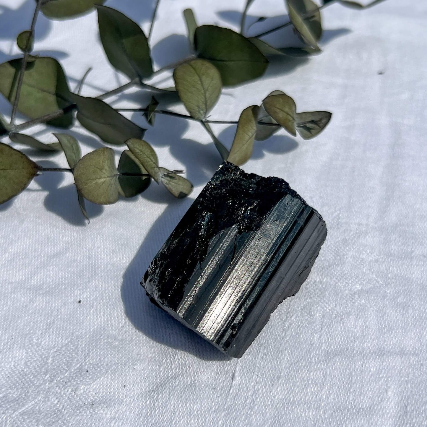 Black Tourmaline Crystal - Extra Grade