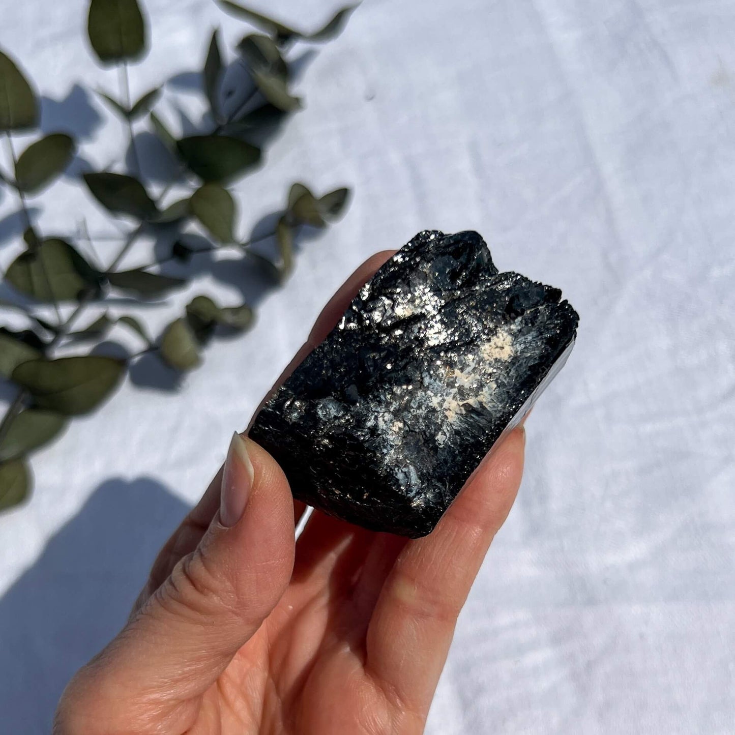 Black Tourmaline Crystal - Extra Grade