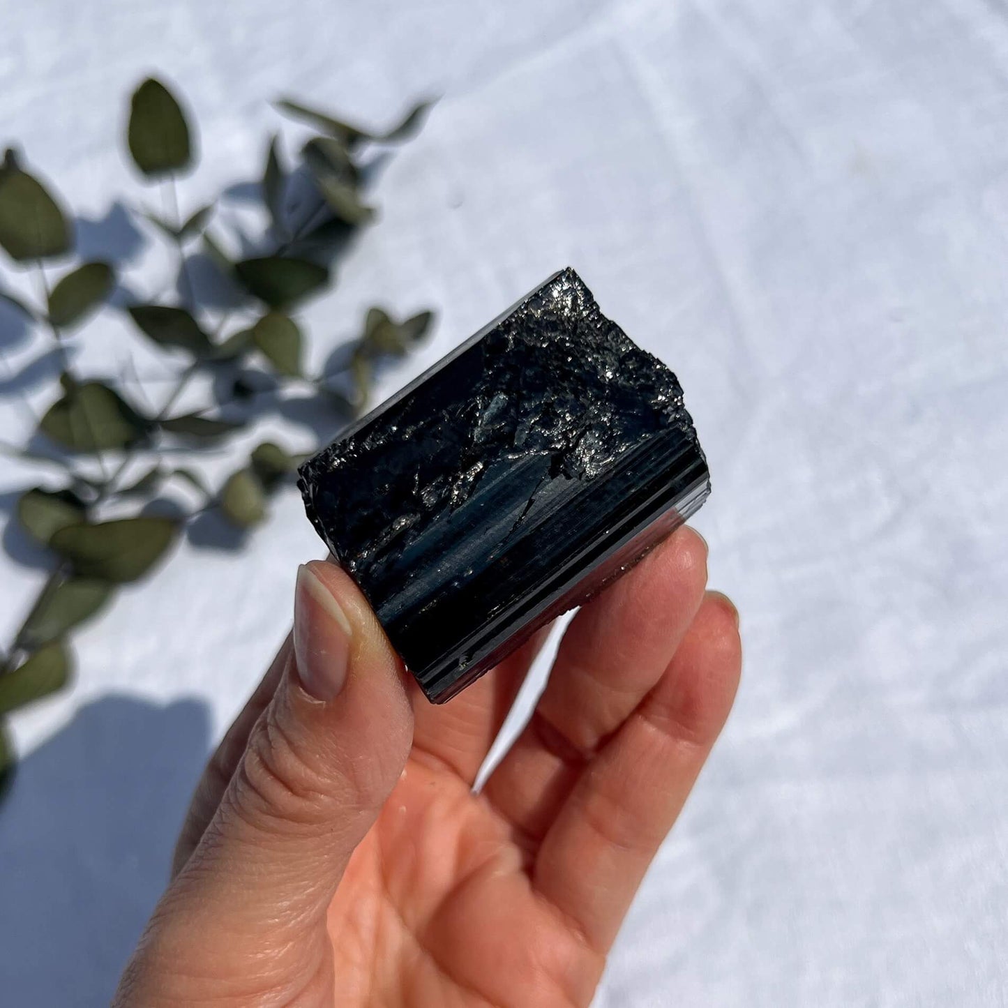 Black Tourmaline Crystal - Extra Grade