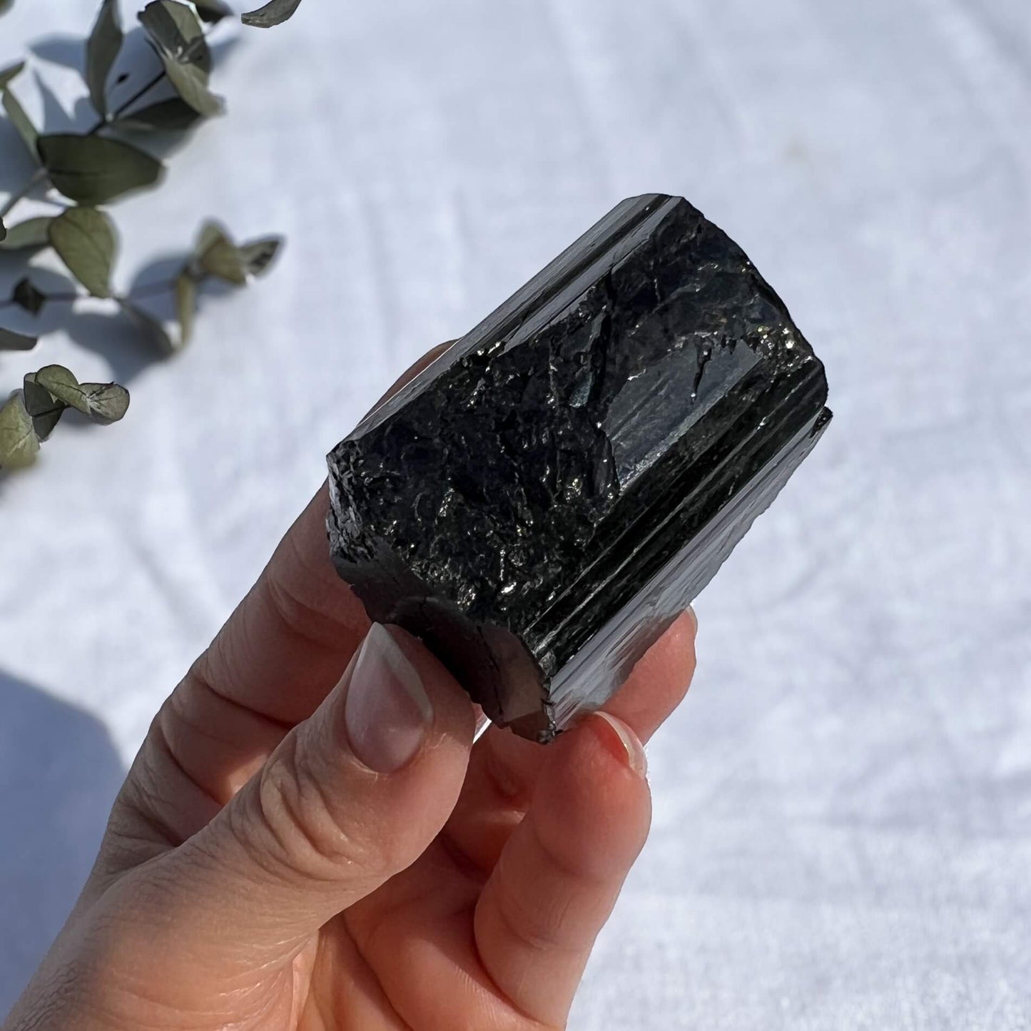 Black Tourmaline Crystal - Extra Grade