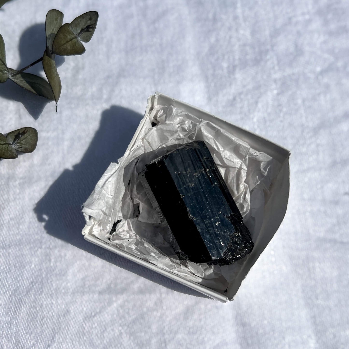 Black Tourmaline Crystal - Extra Grade Terminated