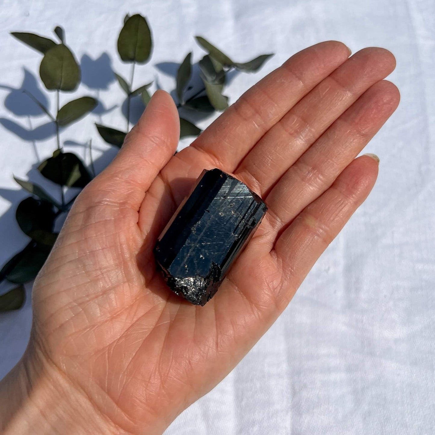 Black Tourmaline Crystal - Extra Grade Terminated