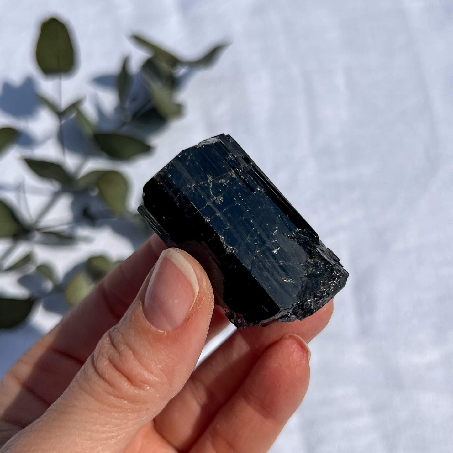 Black Tourmaline Crystal - Extra Grade Terminated