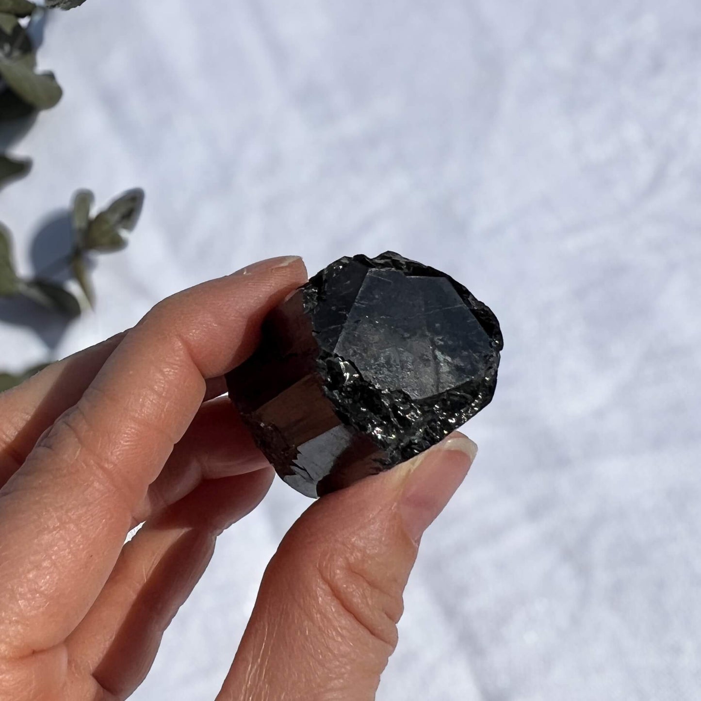 Black Tourmaline Crystal - Extra Grade Terminated