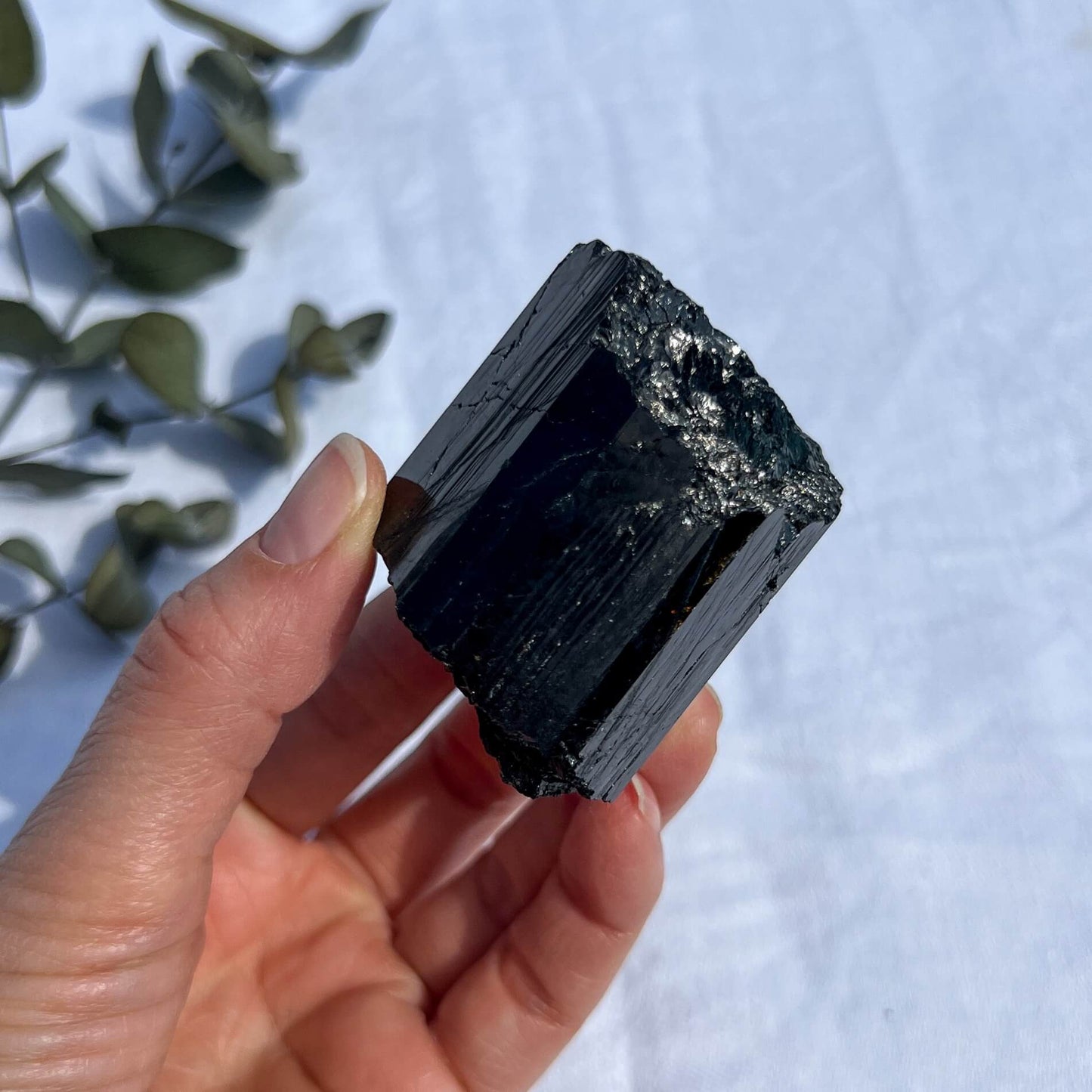 Black Tourmaline Crystal - Extra Grade