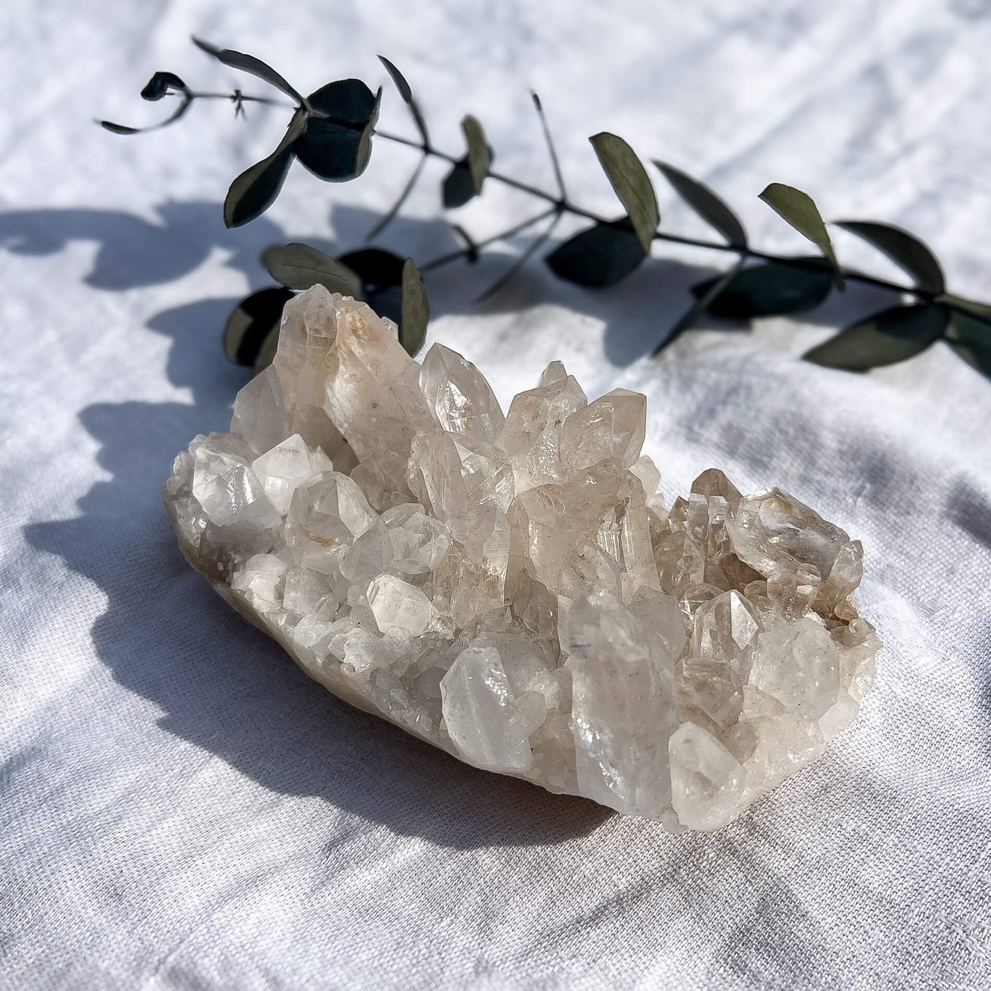 Clear Quartz Cluster