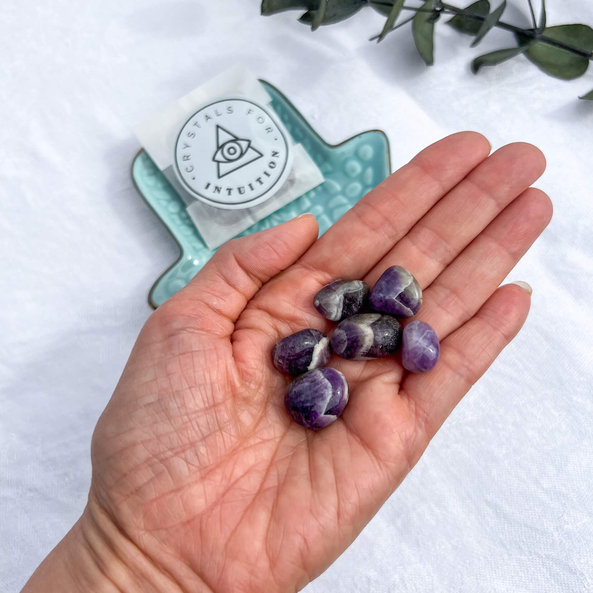 Amethyst crystals – Rock + Realm Crystals