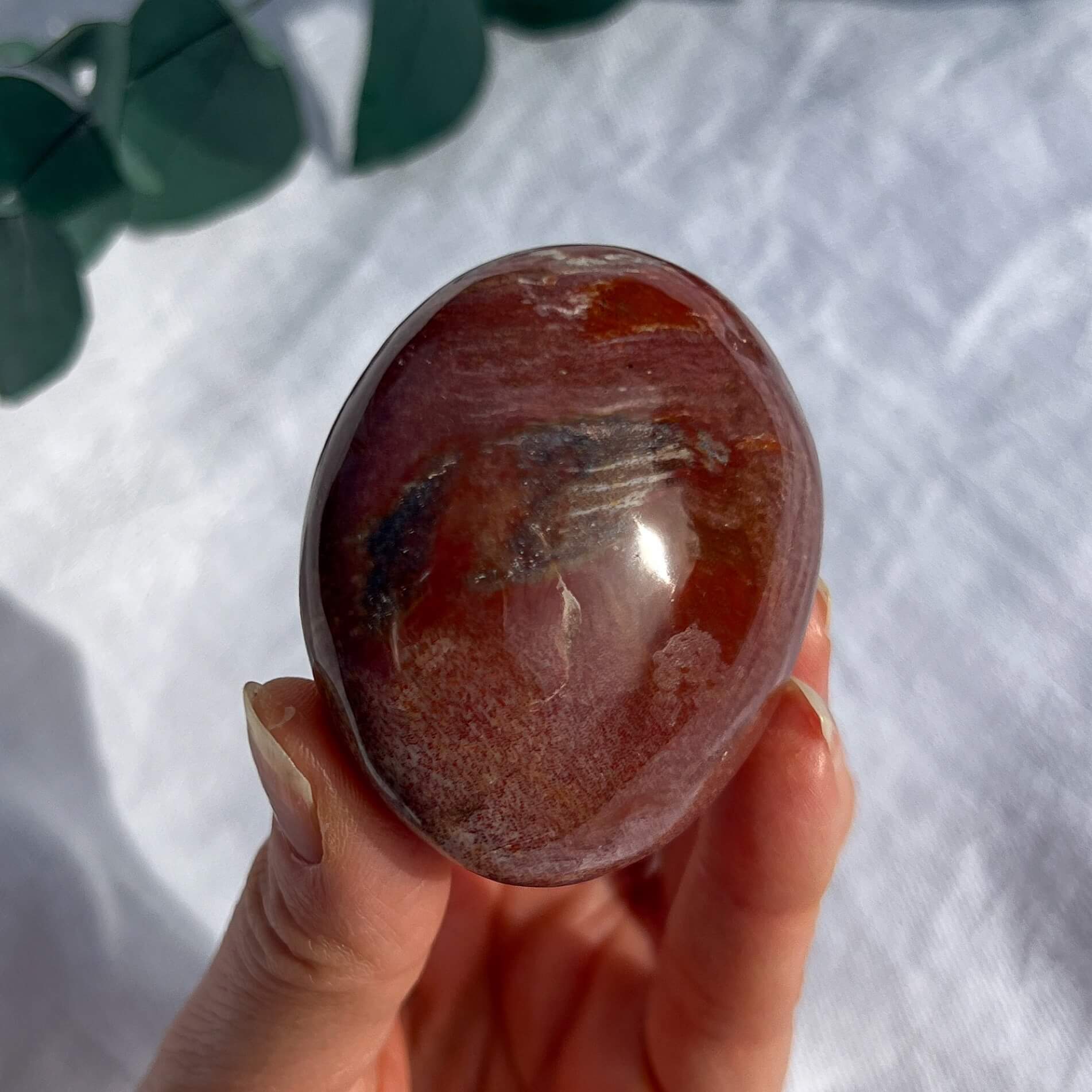 Crystal Palmstone - Fossil Wood G