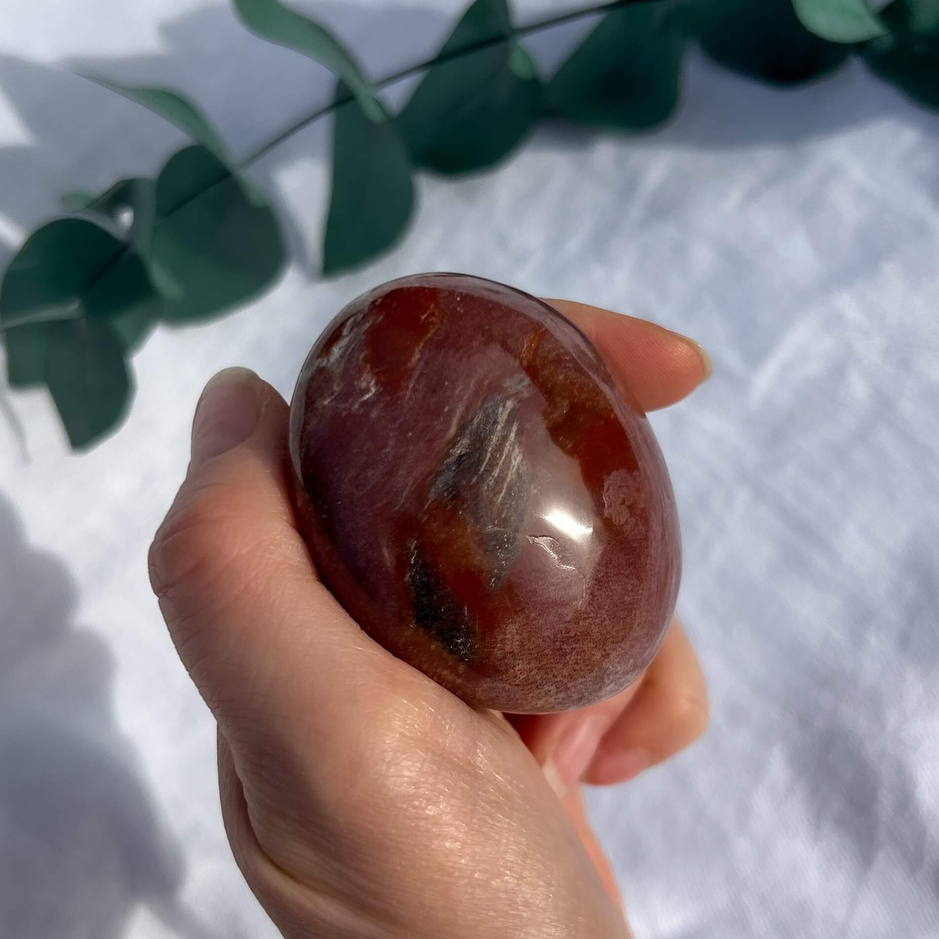 Crystal Palmstone - Fossil Wood G