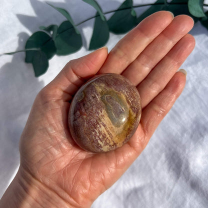 Crystal Palmstone - Fossil Wood G