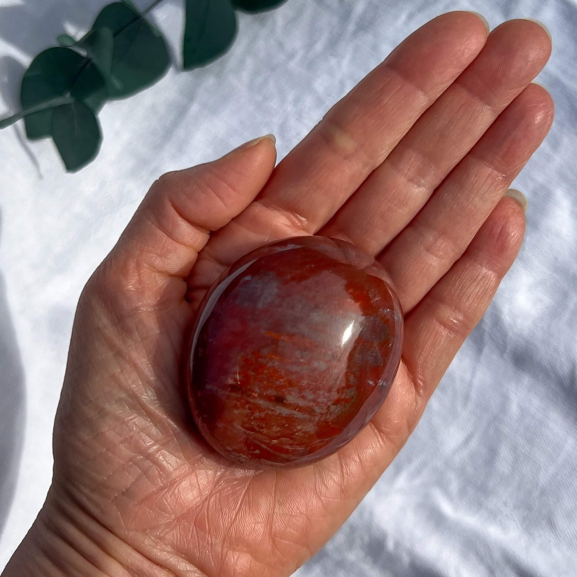 Crystal Palmstone - Fossil Wood I