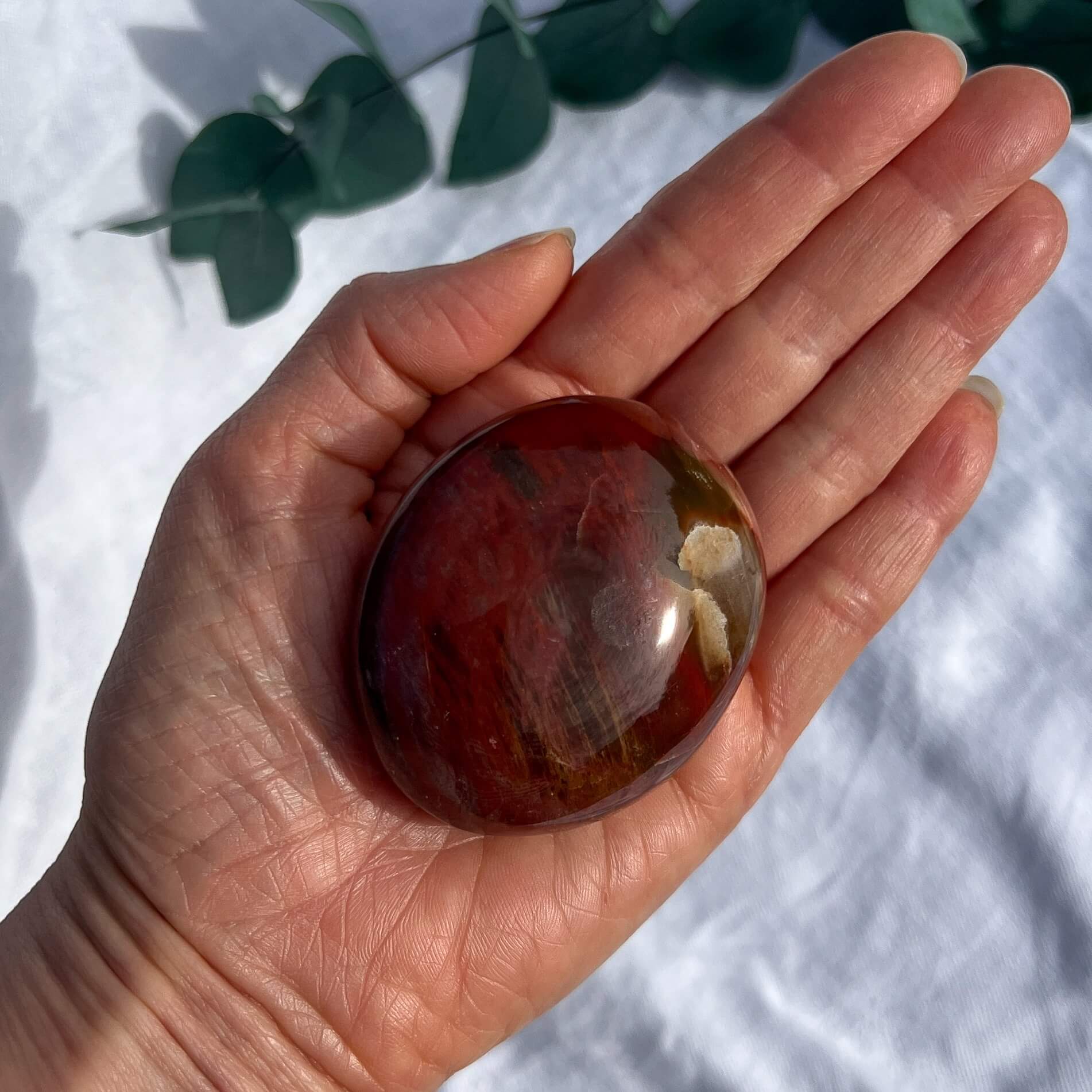 Crystal Palmstone - Fossil Wood I