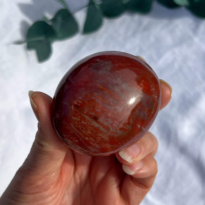 Crystal Palmstone - Fossil Wood I