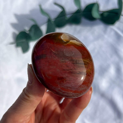 Crystal Palmstone - Fossil Wood I