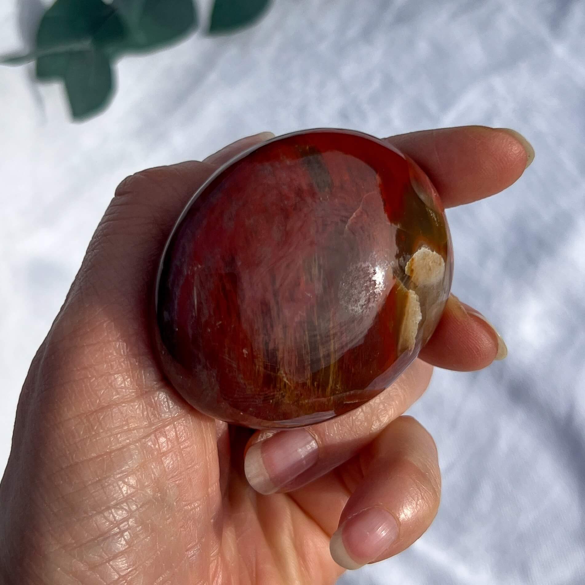 Crystal Palmstone - Fossil Wood I