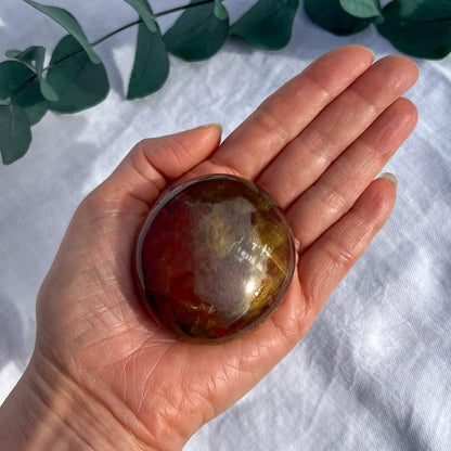 Crystal Palmstone - Fossil Wood J