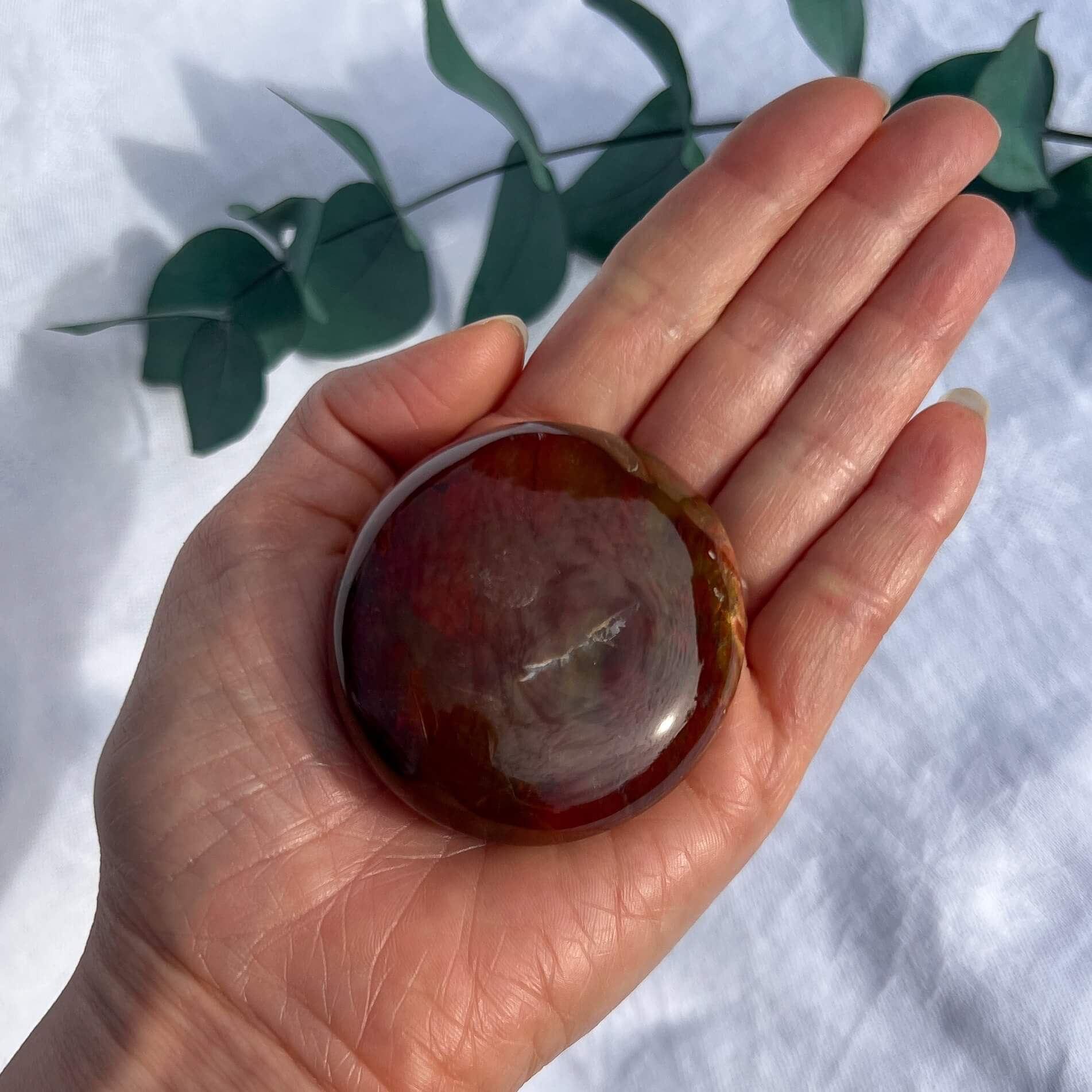 Crystal Palmstone - Fossil Wood J